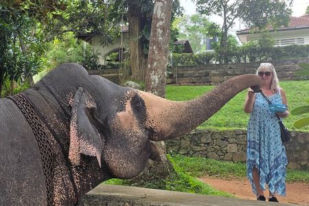 Kandy Full Day Tour Private All Inclusive 