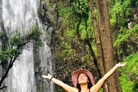 Moshi Half-Day Tour:vWaterfall hike ,Coffee Tour & hot- lunch 