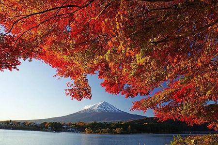 Tokyo: Mount Fuji One Day Trip Lake Kawaguchi & Lake Yamanaka