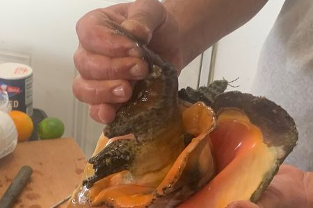 Taste Tour and Capture Nassau Island Experience with Photos