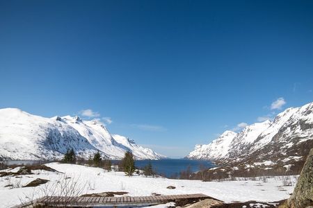 Tromsø: Fjord Adventure Tour with Wildlife and Lunch