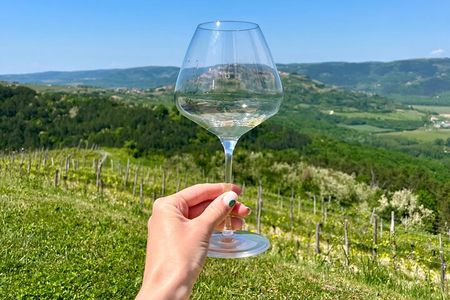 Istria Wine Tour from Island Krk and Rijeka