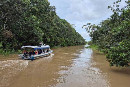 Full Day Tour Anavilhanas Archipelago and Ariau River