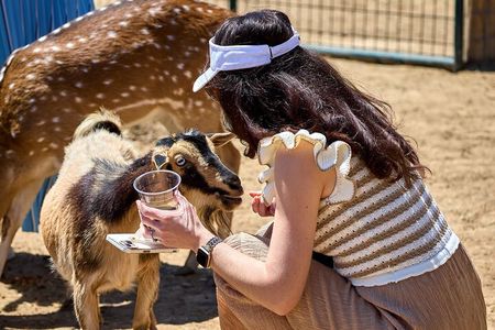 Fredericksburg Safari Tour Without Wine Tasting