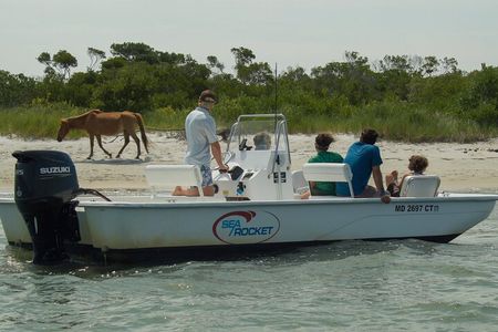 1-Hour Private Party Assateague Island Pony Cruise in Ocean City