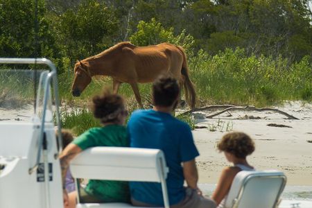 1-Hour Private Party Assateague Island Pony Cruise in Ocean City