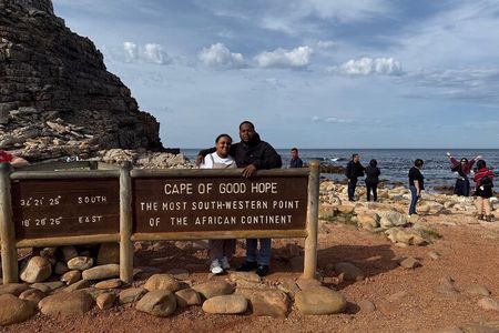 Half Day Penguins and Cape Point Small Group Tour