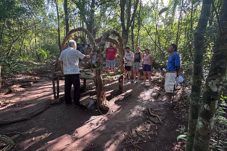 Punta Laguna Adventure with Mayan Ceremony