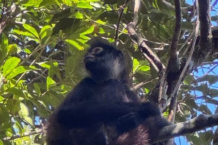 Punta Laguna Adventure with Mayan Ceremony