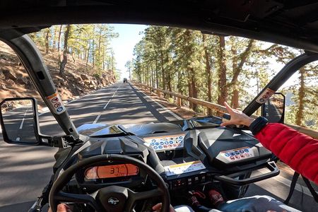 Guided Buggy Tour through Teide National Park