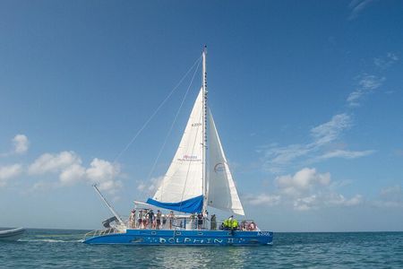 Dolphin Catamaran Snorkel and Sail with Open Bar 