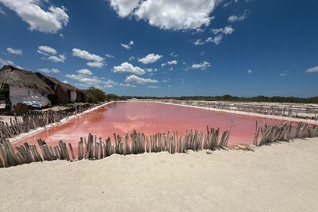 Pink Lagoon, Flamingos, Cenote, and Beach Escape from Merida