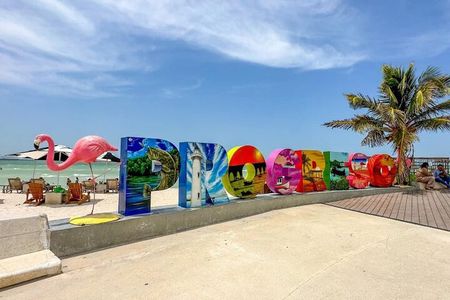 Progreso, Flamingos, Cenote, and Salt Ponds adventure from Merida