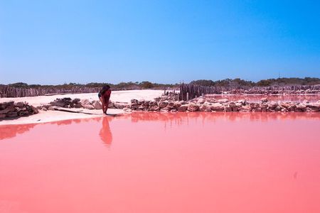 Ultimate Yucatán: Salt Ponds, Flamingos, Cenote & Progreso Beach