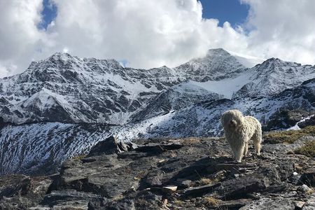 High Sierra Nevada hike ( snowshoeing in winter conditions)