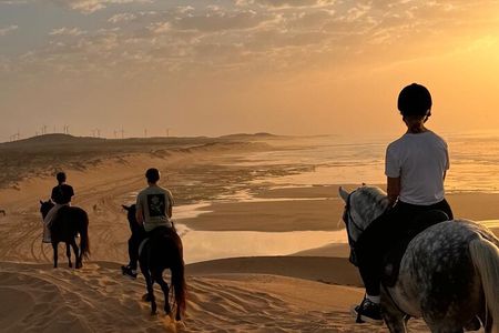 Essaouira Dar Sultan Palace Horseback Tour Experience