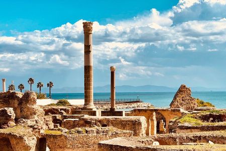 Carthage Discovery Half-Day Tour with Licensed Guide