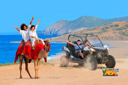 Beach UTV & Camel Ride COMBO in Cabo by Cactus Tours Park
