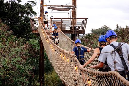Zipline Tour on North Shore