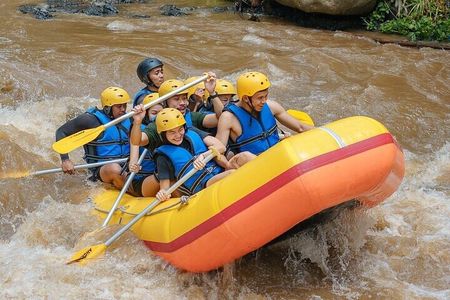 Ubud White Water Rafting on the Ayung River with Pickup & Lunch