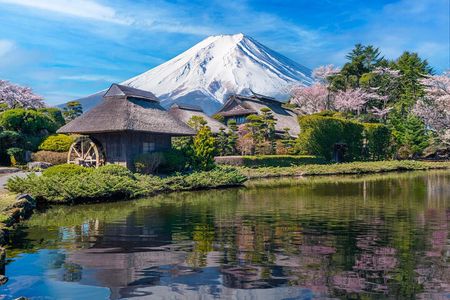 Mt Fuji Private Day Trip from Tokyo with English speaking driver
