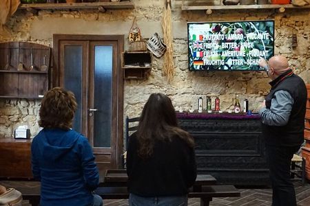 Cagliari Olive Oil Museum: Tours & Tasting a Dolianova