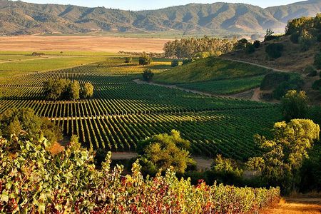 Full day Private Tour in Casablanca Valley