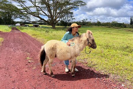 Ranch Tour & Animal Encounters