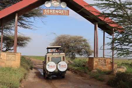 3 Day Group Camping Tour to Serengeti Ngorongoro