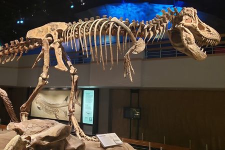 1 Day Customizable Badlands Tour of Drumheller Dinosaurs Hoodoos