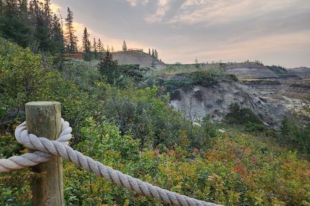 1 Day of Drumheller Dinosaurs and Badlands in Small Group Tour