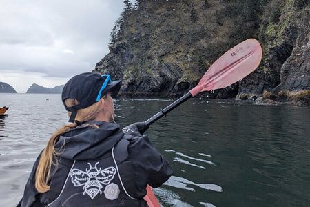 Resurrection Bay Waterfall And Rainforest Adventure