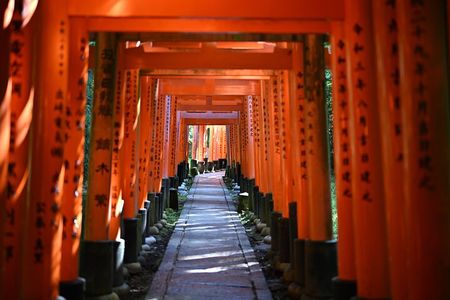 Private Kyoto Nara Tour by Car with Deer, Buddha and More