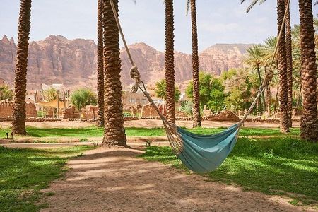 AlUla Oasis Heritage Trail Guided Walking Tour