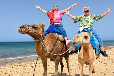 Half-Day Tangier Private Tour & Camel Ride & Colorful Markets 