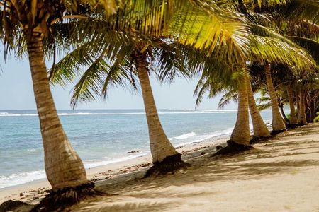 Upolu: Private Tour - Beach, Waterfall and Ocean Trench