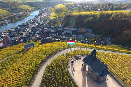 Luxembourg Moselle Day Tour with wine tasting