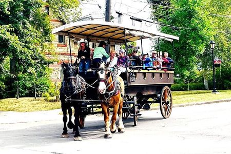 Horse Drawn Historical Guided Tour