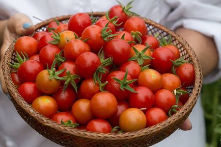 Greek 8 Course Cooking Class in Athens With Drink