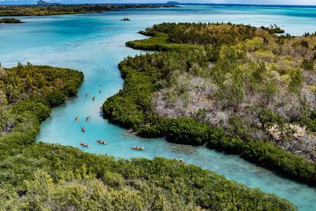 Kayaking Mangroves Mauritius 