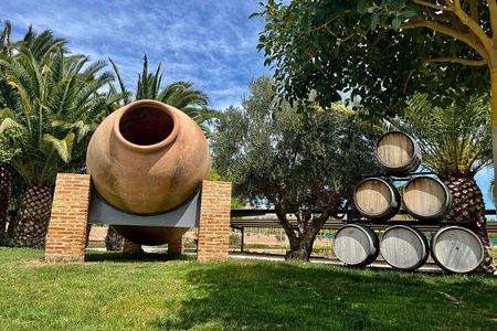 Alicante Wine Route with Tastings and Appetizer
