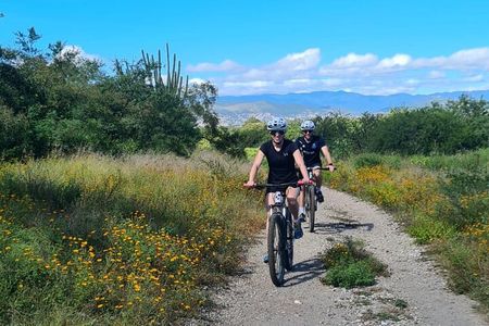 MTB Bike Tour: Tule Tree through the country-side