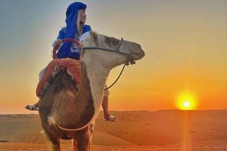 Marrakech: dinner in Agafay desert with a fire show & camel ride