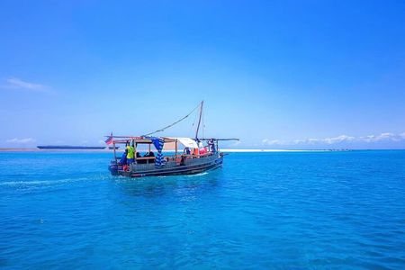 Full Day Dolphins Watching with Snorkeling in Wasini