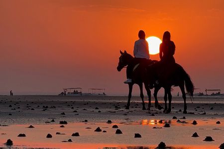 Horseback Riding Muscat Beach