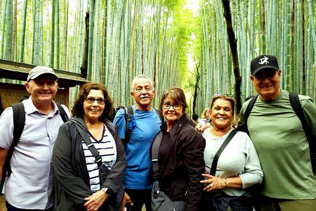 4 Hours Arashiyama and Arashiyama Monkey Park Tour