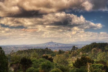 Ultimate Auckland Experience Full Day Tour with Brewery Lunch 