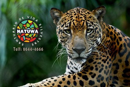 Natuwa Wildlife and Conservation Sanctuary
