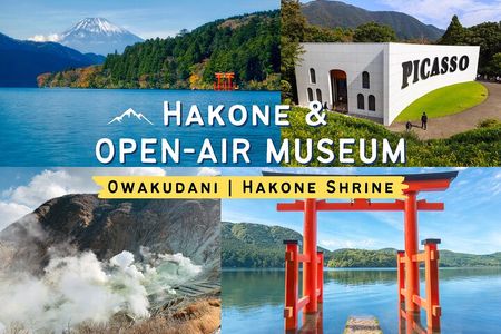 Tokyo Hakone : Mt.Fuji, Owakudani, Open Air Museum, Hakone Shrine