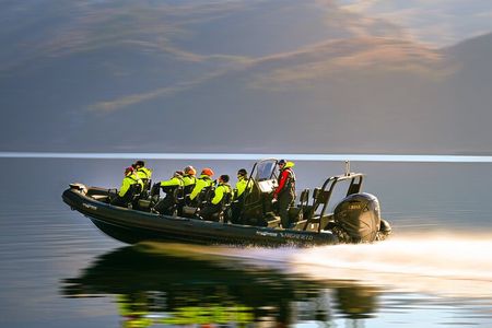 Rib adventure in the Lysefjord